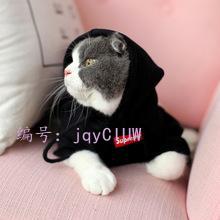 벻