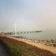 ʵ